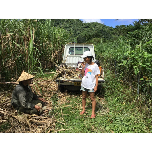 【GOODS】ノイベナ農園 ティーダ黒糖