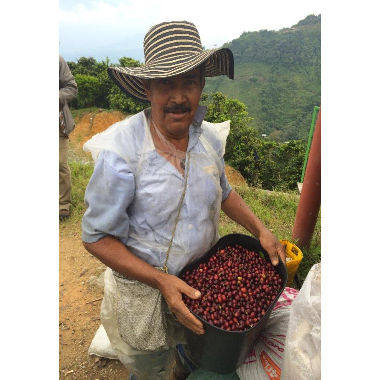 【COFFEE】COLOMBIA SANTA BARBARA ESTATE