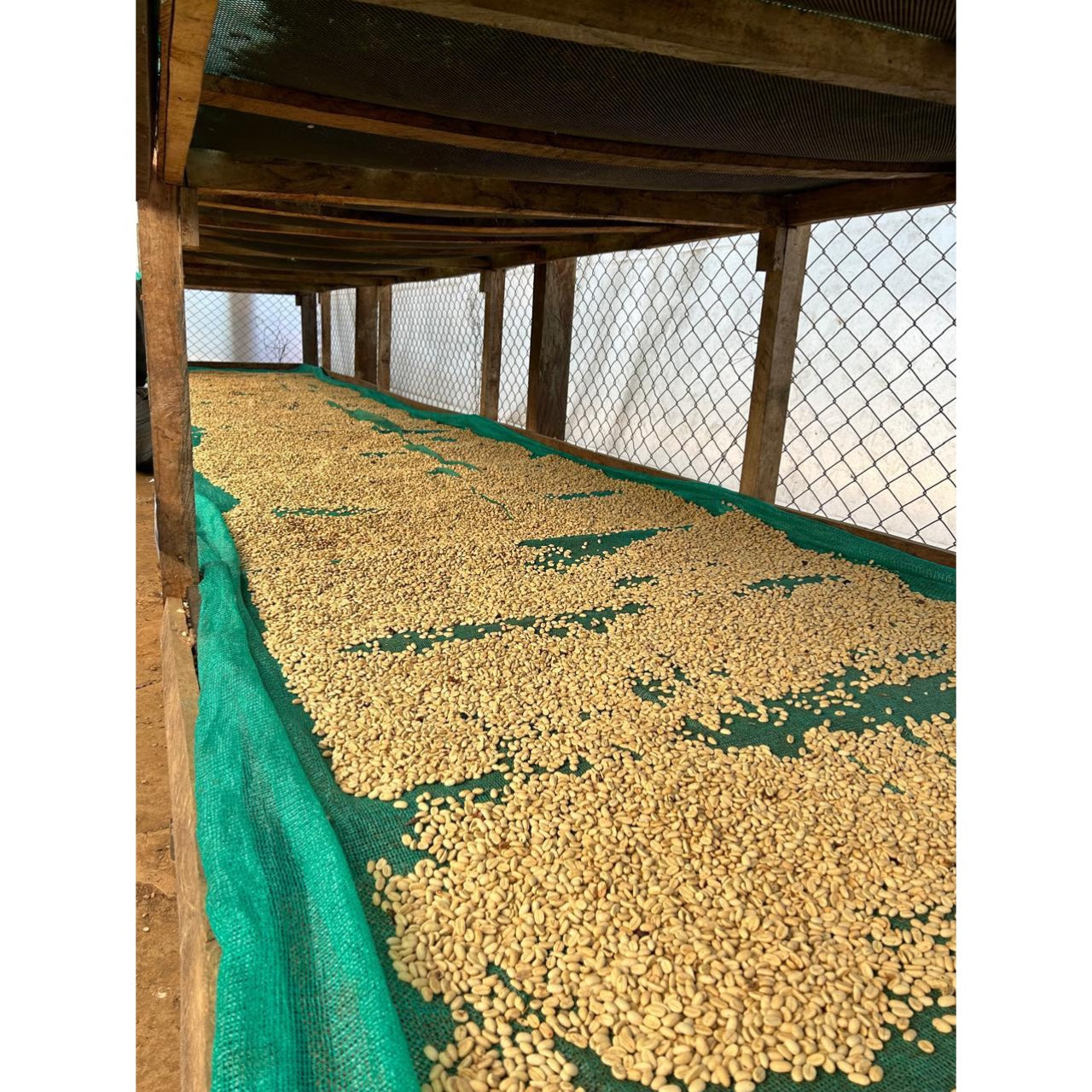 【COFFEE】PERU -Miraflores Giesha-