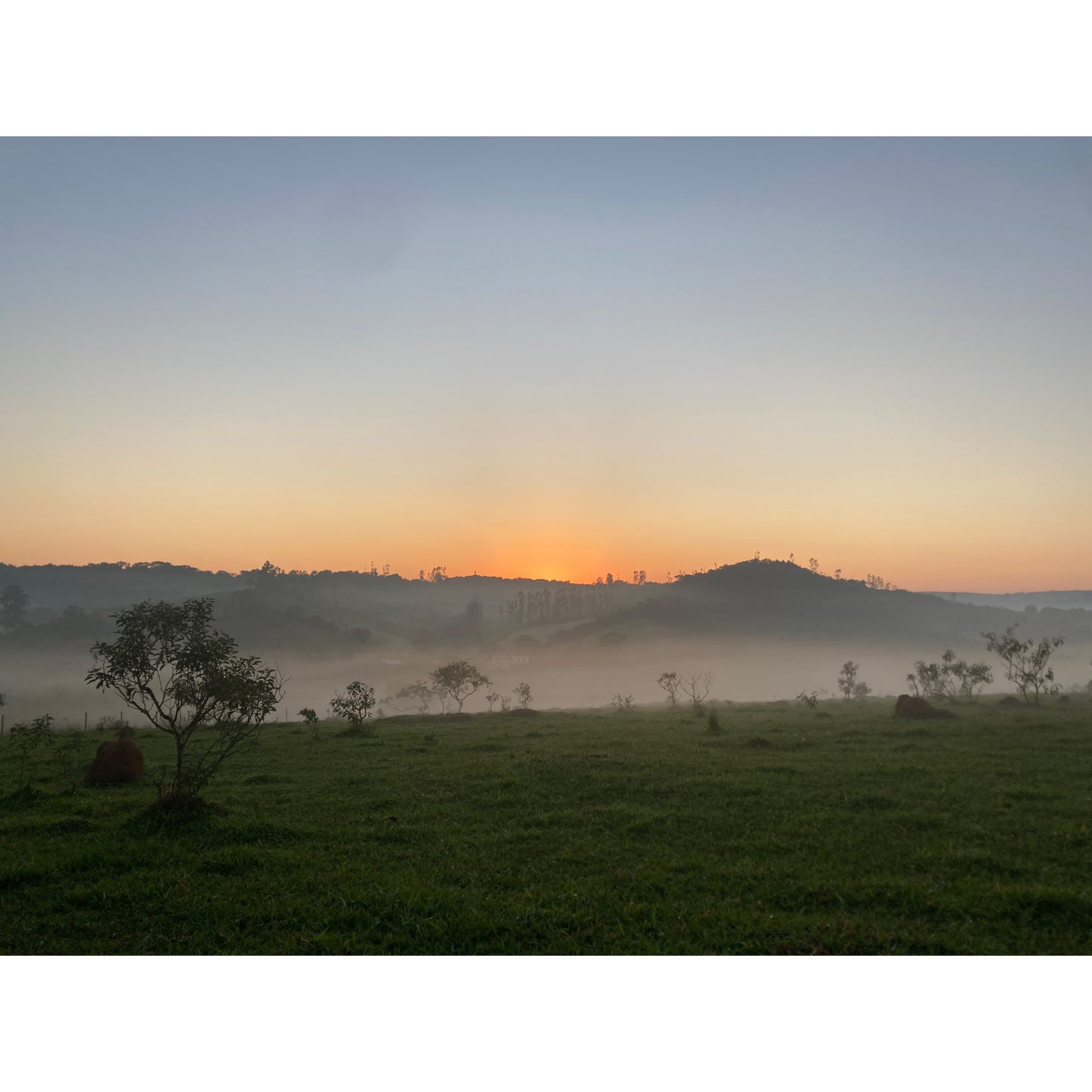 【COFFEE】BRAZIL FAZENDA GUARIROBA -FRUITY-