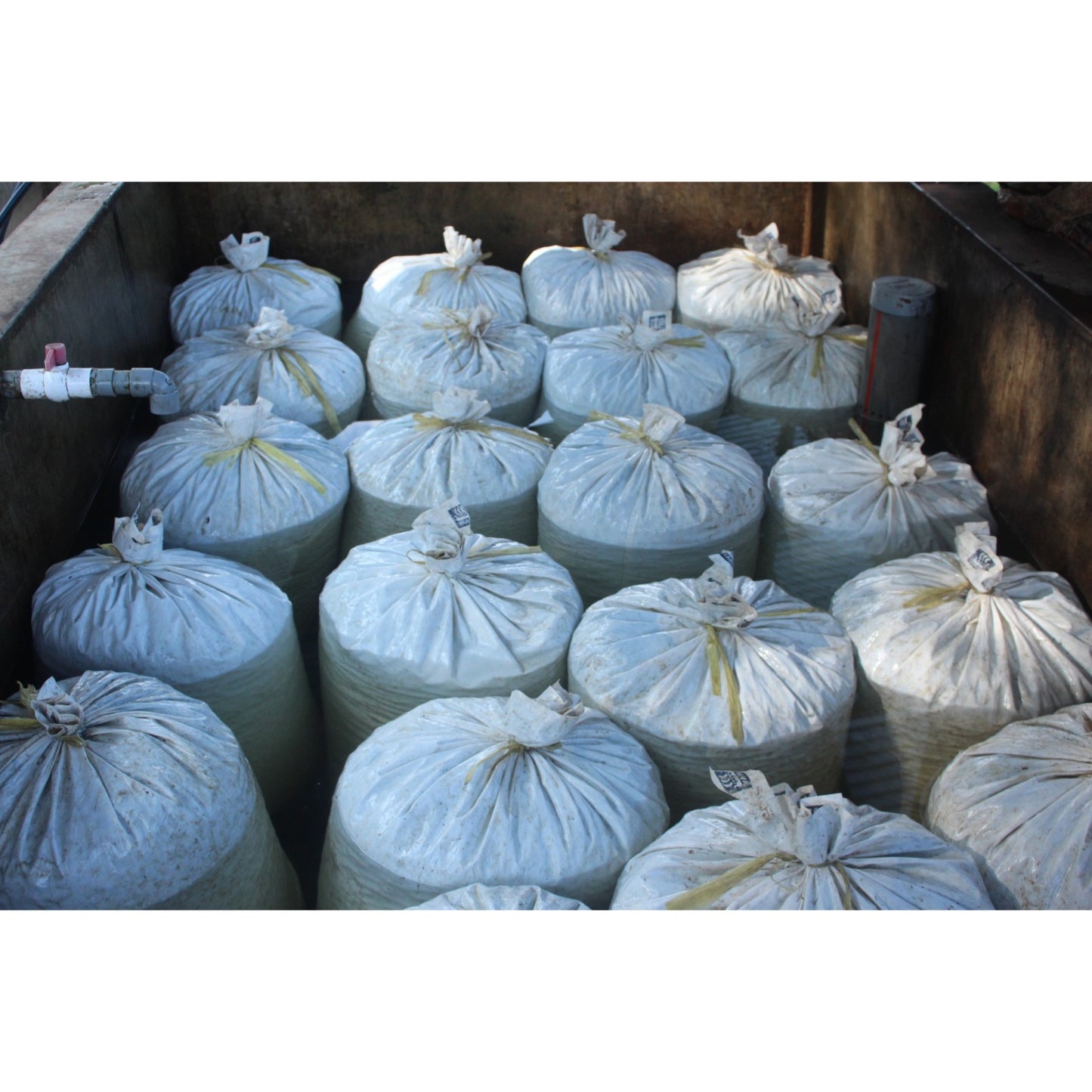 【COFFEE】PERU -Miraflores Giesha-
