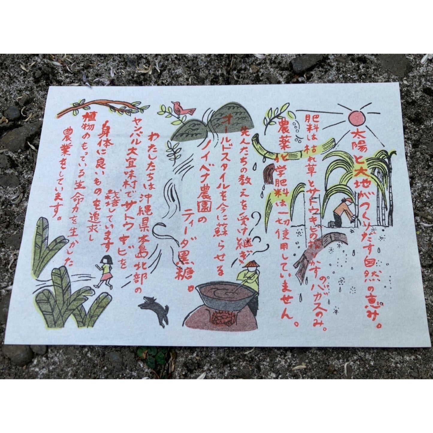 【GOODS】ノイベナ農園 ティーダ黒糖