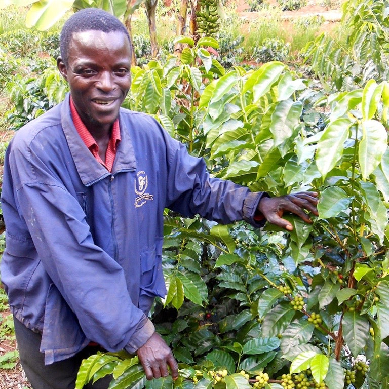 【COFFEE】MALAWI MISUKU COOPERATIVE KAKOMO