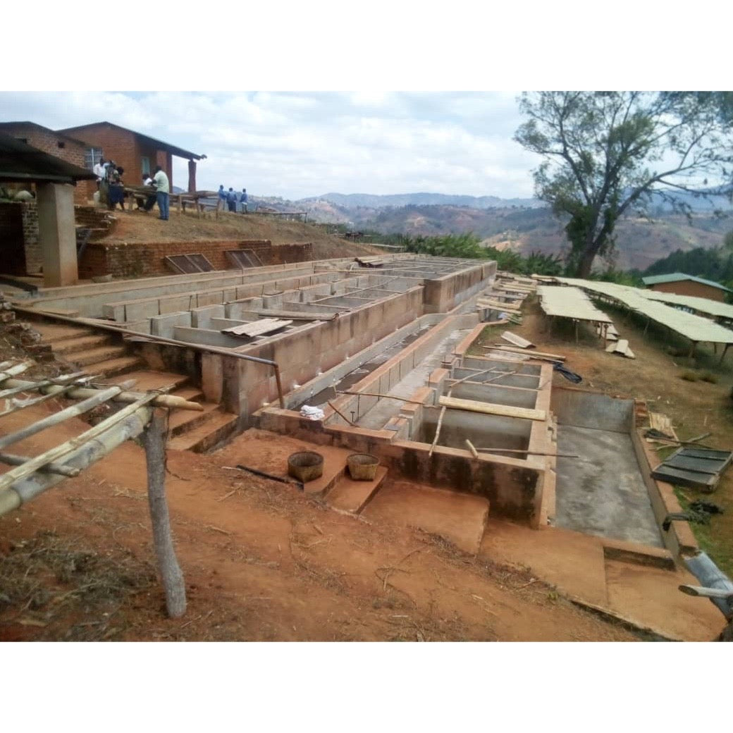 【COFFEE】MALAWI MISUKU COOPERATIVE KAKOMO