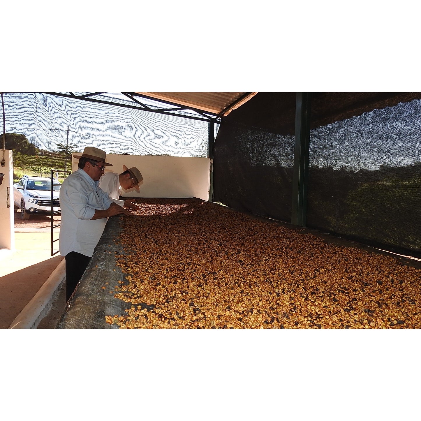 【COFFEE】BRAZIL FAZENDA GUARIROBA -IPA PROCESS-