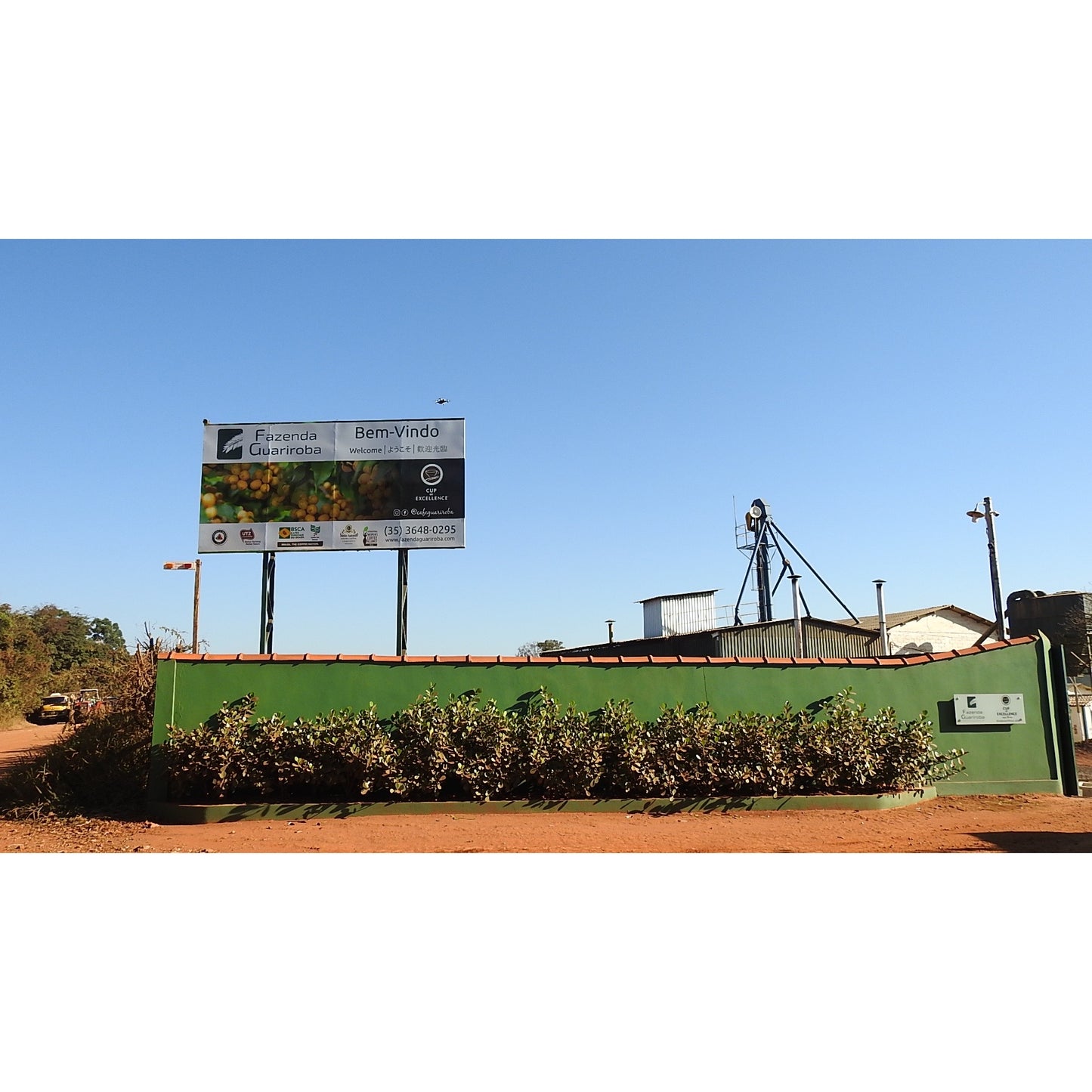 【COFFEE】BRAZIL FAZENDA GUARIROBA -IPA PROCESS-