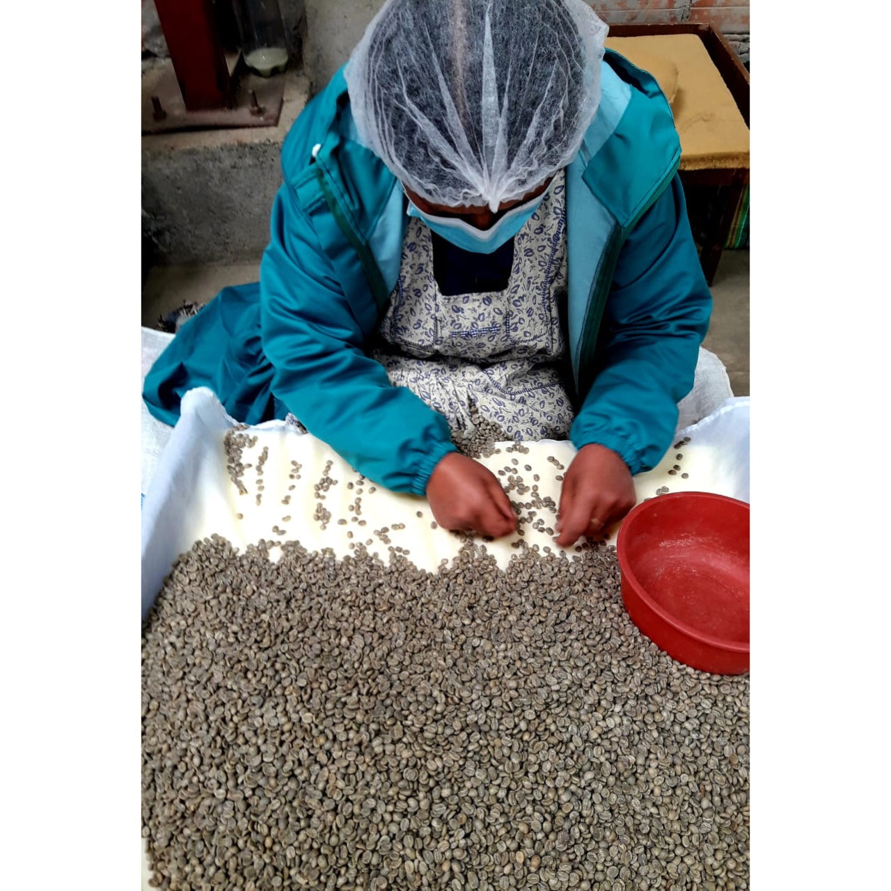 【COFFEE】BOLIVIA -Copacabana Java-