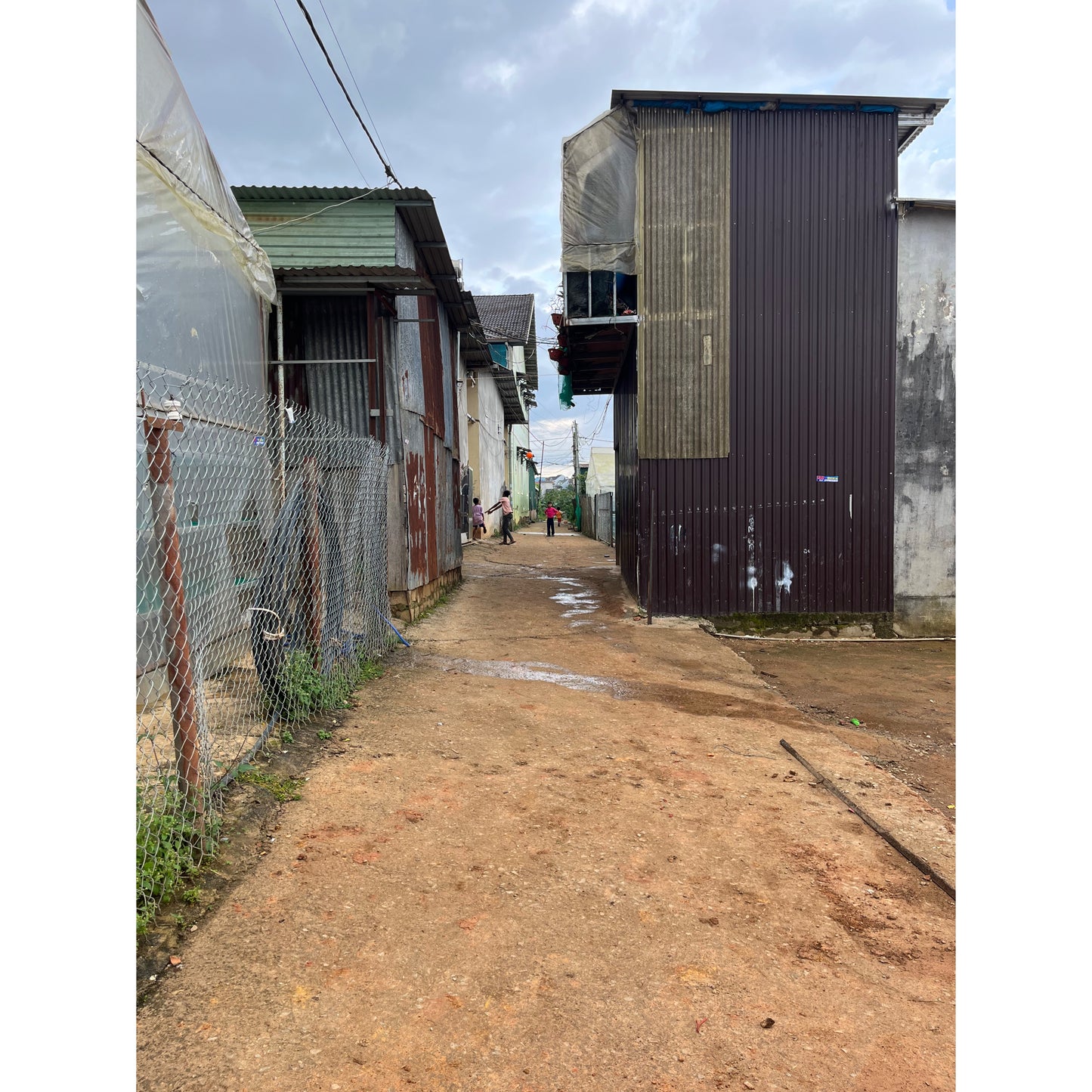 【COFFEE】VIETNAM LANG BIANG COFFEE PROJECT A-NATURAL