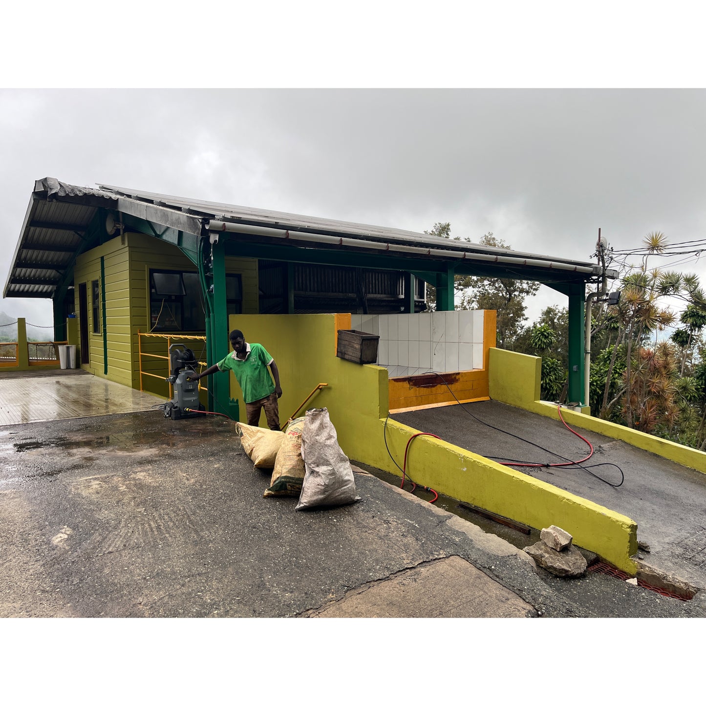 【COFFEE】JAMAICA -BLUE MOUNTAIN No.1-