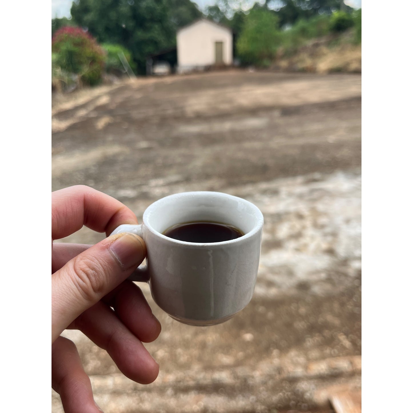 【COFFEE】BRAZIL -Antonio & Uender-