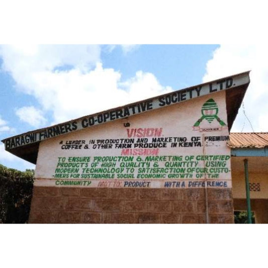 【COFFEE】KENYA THIMU FACTORY AA